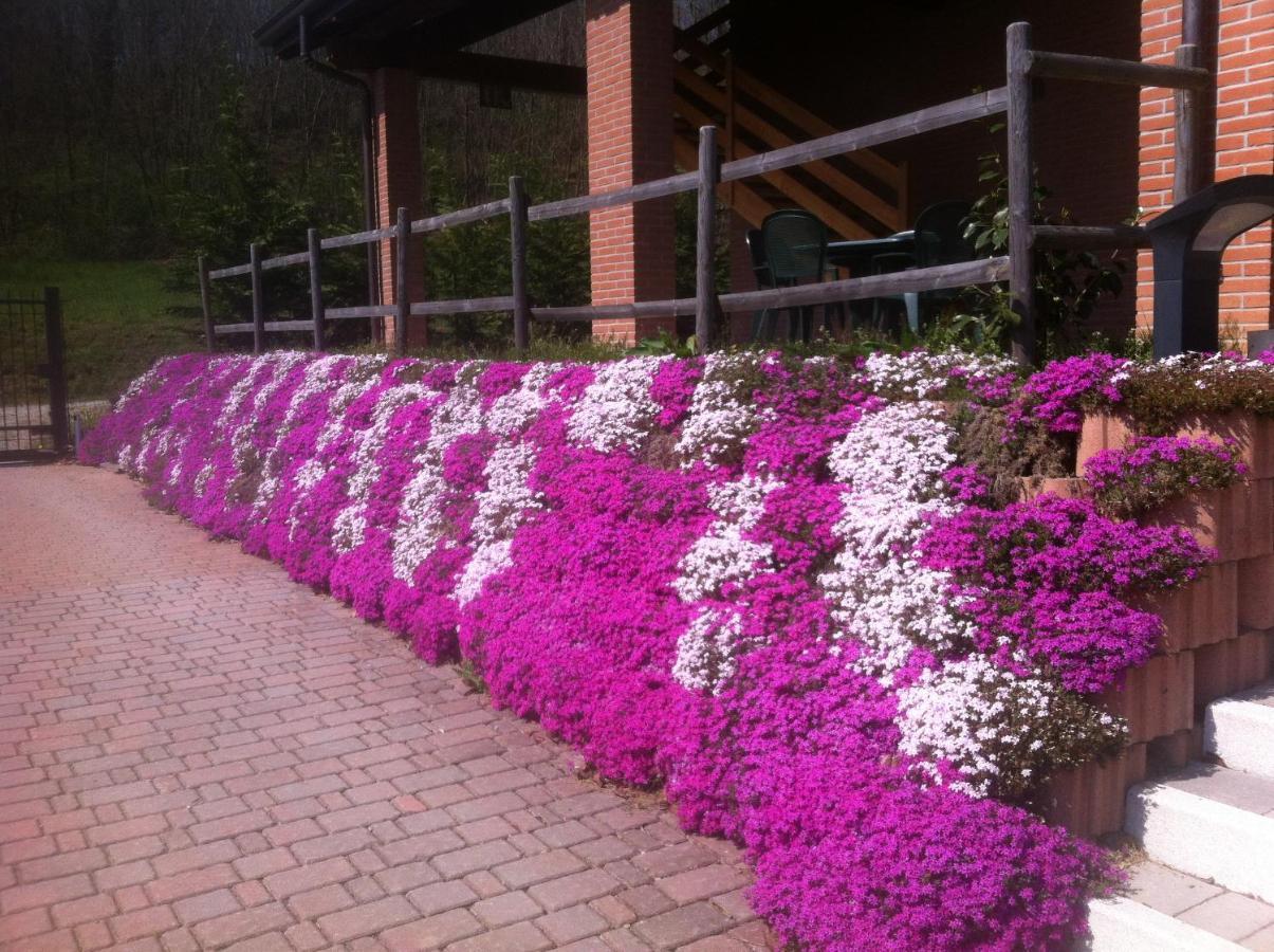 Agriturismo Altana Del Motto Rosso Gattico Екстериор снимка